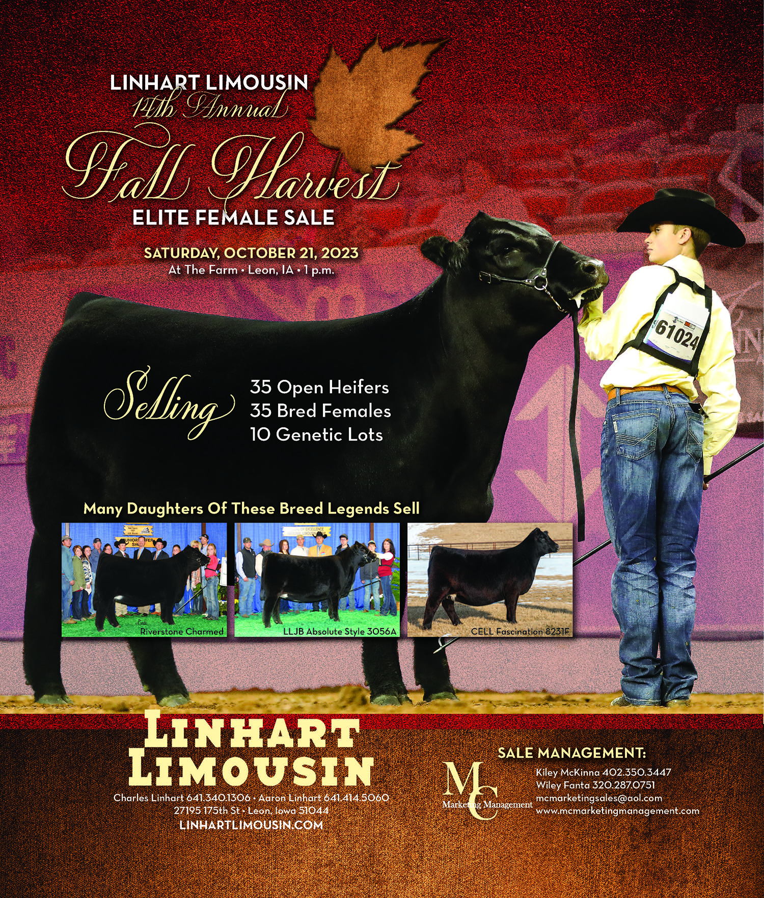 Events Premier Promotions