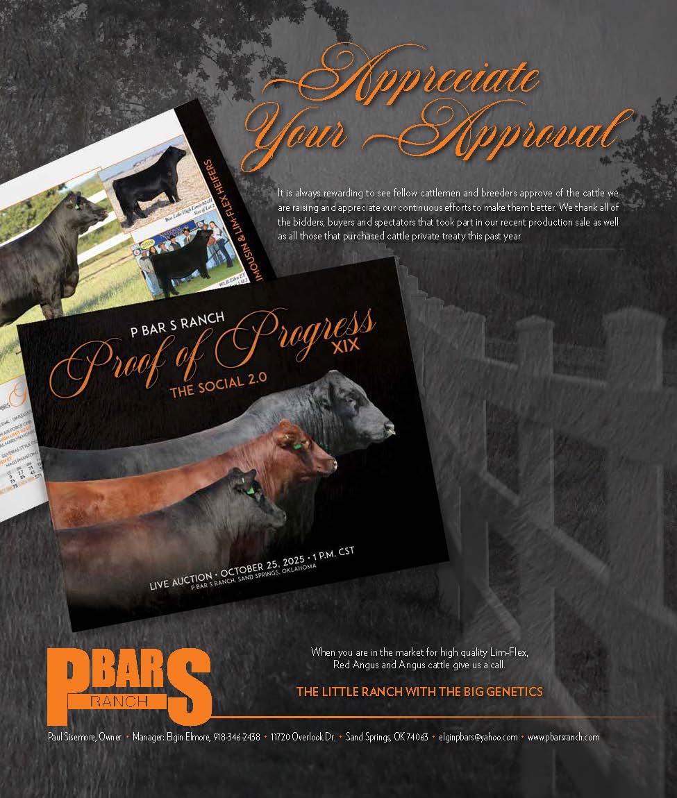 Association Premier Promotions