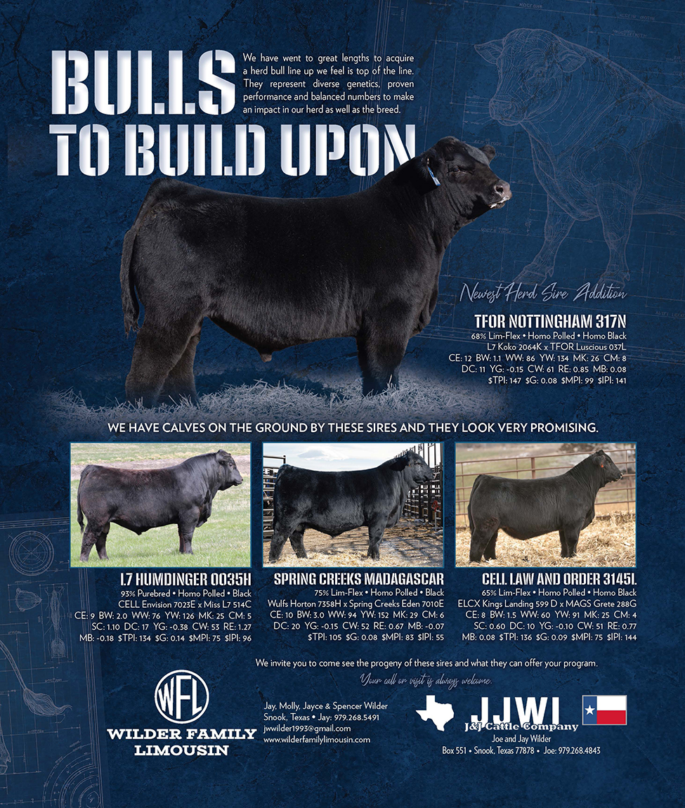 L365Auctions Premier Promotions