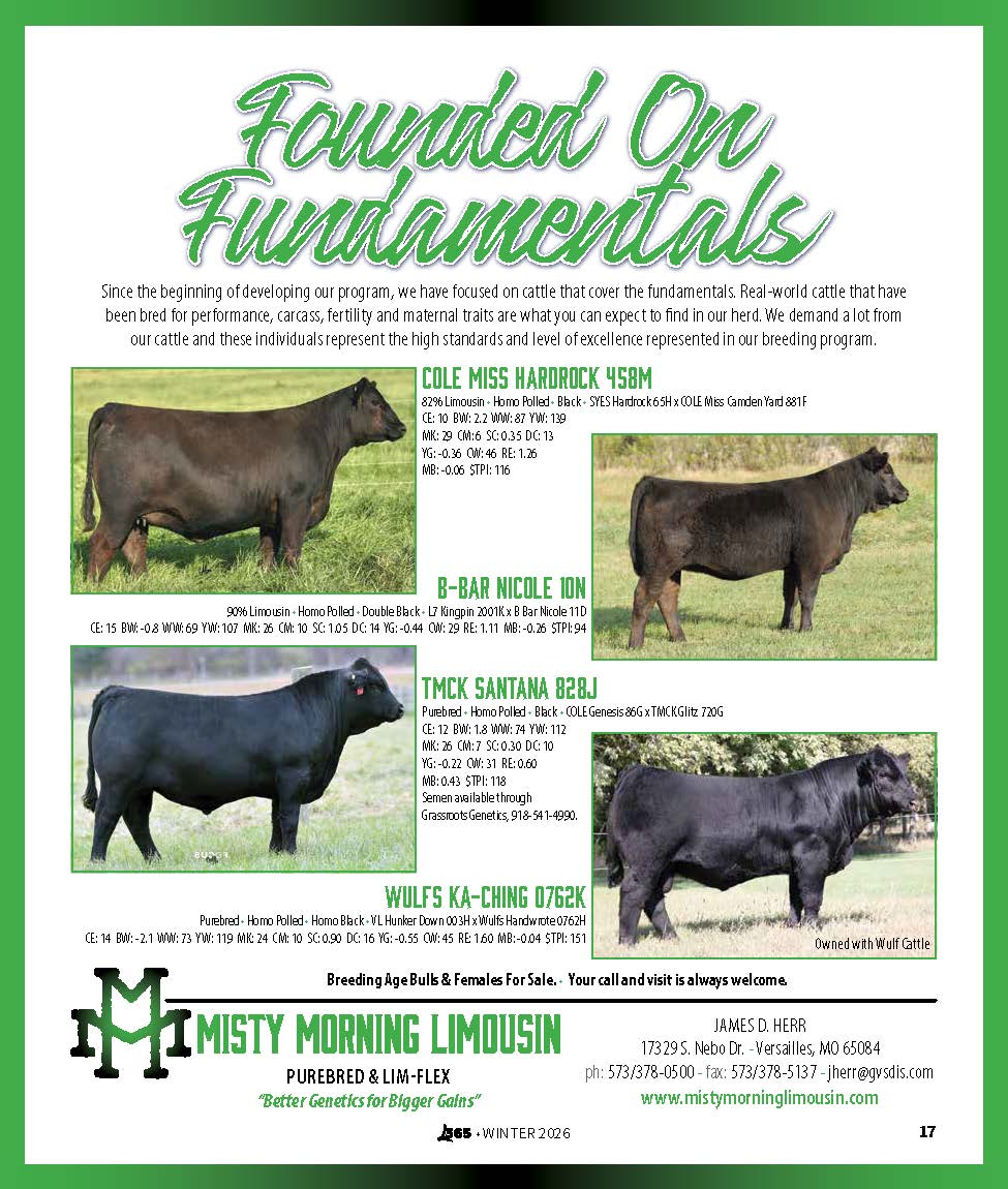 Events Premier Promotions