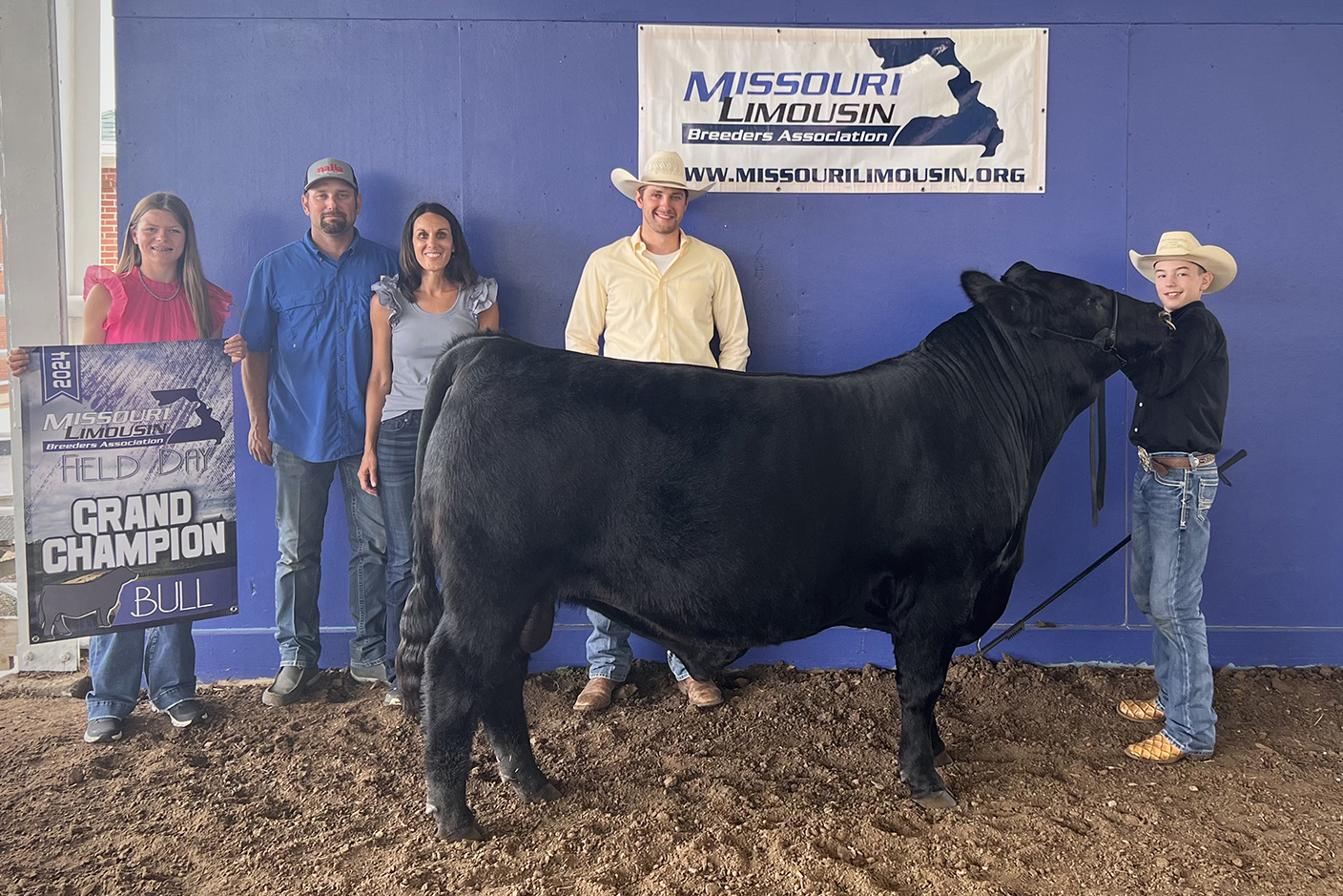 Missouri Limousin Breeders Association Field Day & Open Show – Limousin365