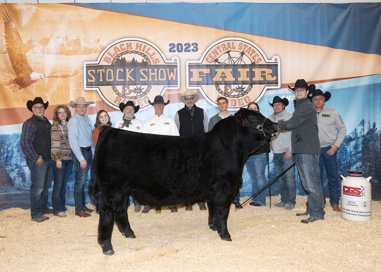 Black Hills Stock Show Open Show Limousin365